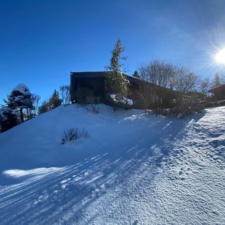 Dachsbau Villa Barbis Eksteriør bilde