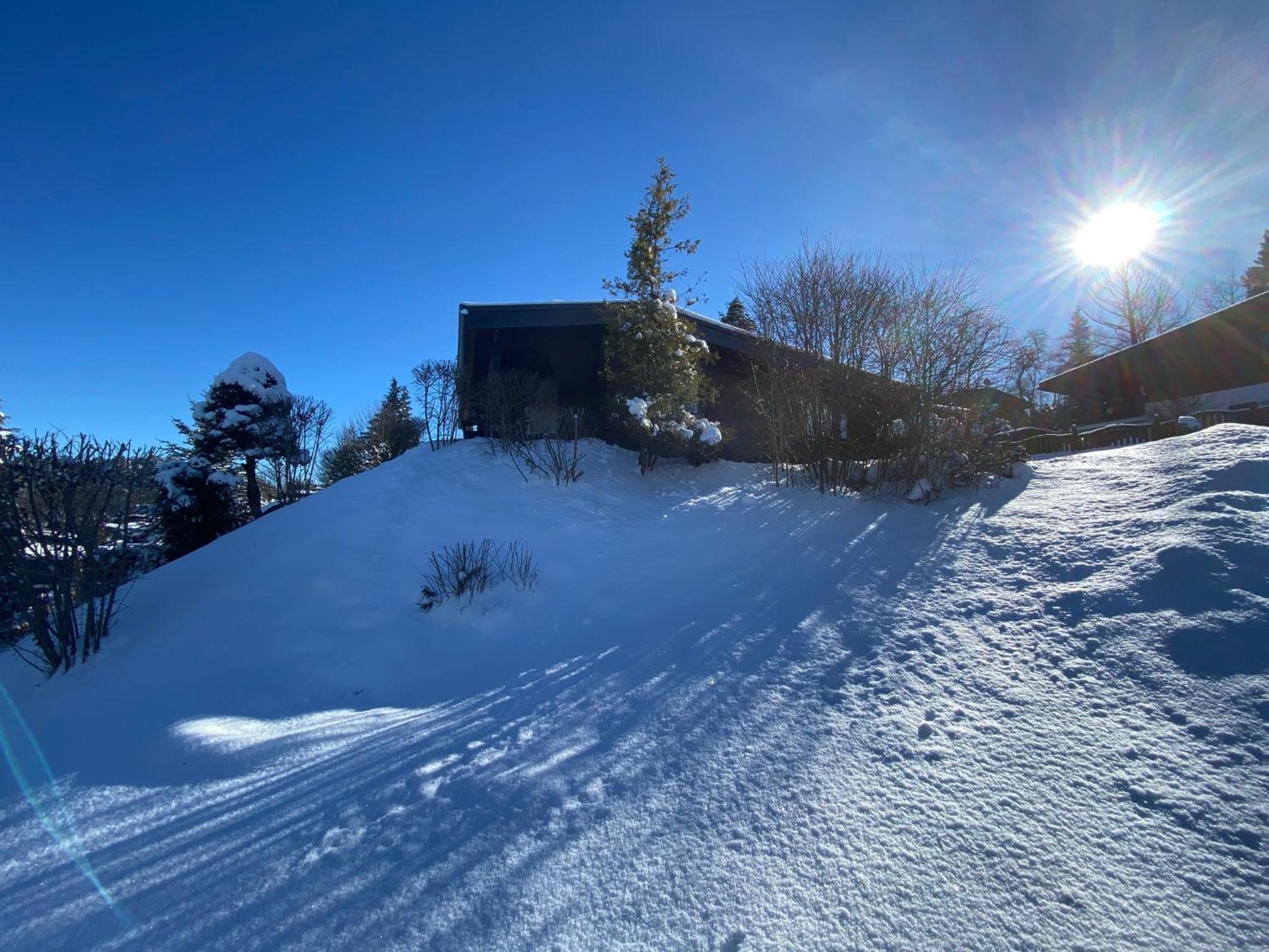 Dachsbau Villa Barbis Eksteriør bilde